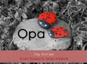 Omslag van Dag, lieve opa