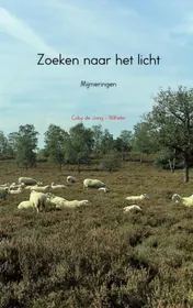 Omslag van Zoeken naar het licht