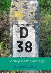 Omslag van De weg naar Santiago