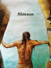 Omslag van Simson