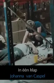 Omslag van In één klap