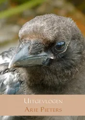 Omslag van Uitgevlogen