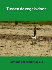 Omslag van Tussen de regels door