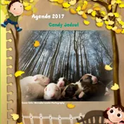 Omslag van 2017