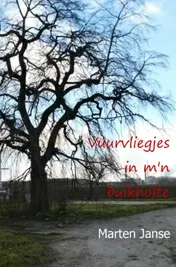 Omslag van Vuurvliegjes in m'n buikholte