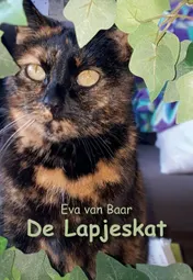 Omslag van De Lapjeskat