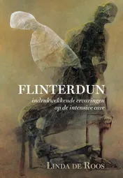 Omslag van Flinterdun