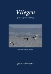 Omslag van Vliegen