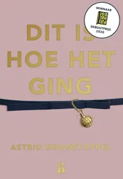 Omslag van Dit is hoe het ging