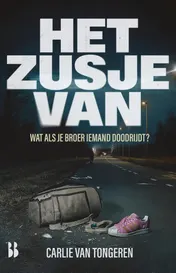 Omslag van Het zusje van