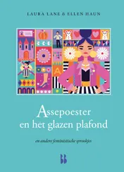 Omslag van Assepoester en het glazen plafond