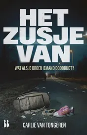 Omslag van Het zusje van