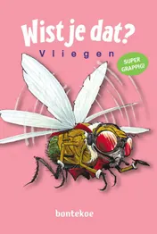 Omslag van Vliegen