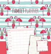 Omslag van Family planner flamingo
