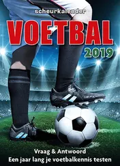 Omslag van 2019