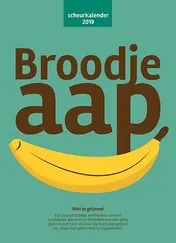 Omslag van 2019