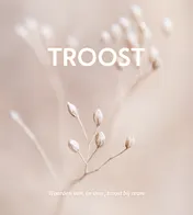 Omslag van Troost