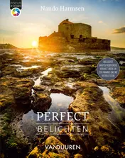 Omslag van Perfect belichten