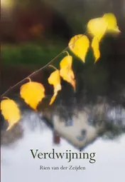 Omslag van Verdwijning