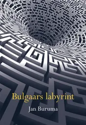 Omslag van Bulgaars labyrint