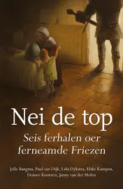 Omslag van Nei de top
