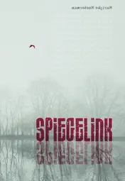 Omslag van Spiegelink