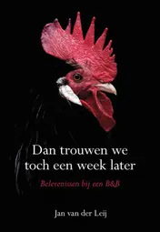 Omslag van Dan trouwen we toch een week later