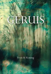 Omslag van Geruis