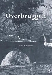 Omslag van Overbruggen