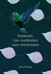Omslag van Depressie, van overkomen naar overwinnen