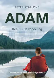 Omslag van De vondeling