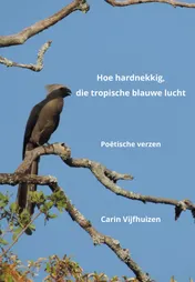 Omslag van Hoe hardnekkig, die tropische blauwe lucht