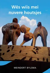 Omslag van Wês wiis mei nuvere houtsjes