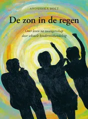 Omslag van De zon in de regen