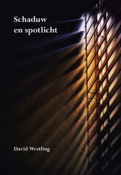 Omslag van Schaduw en spotlicht