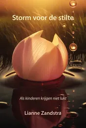 Omslag van Storm voor de stilte