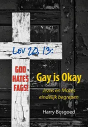 Omslag van Gay is okay