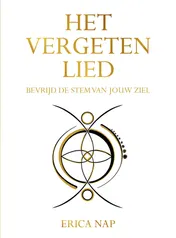 Omslag van Het vergeten lied