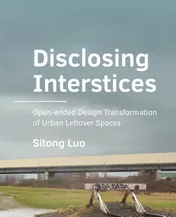 Omslag van Disclosing Interstices
