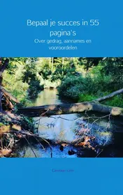Omslag van Bepaal je succes in 55 pagina's