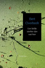 Omslag van Een liefde sterker dan wat kon
