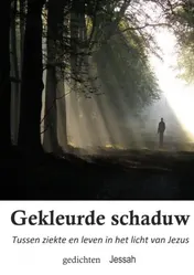Omslag van Gekleurde schaduw