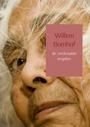 Omslag van de verdwaalde engelen