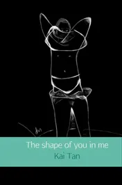 Omslag van The shape of you in me