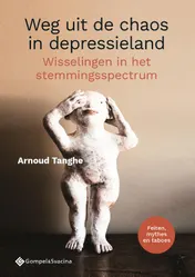 Omslag van Weg uit de chaos in depressieland