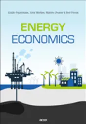 Omslag van Energy economics