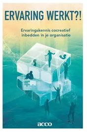 Omslag van Ervaring werkt