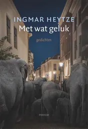 Omslag van Met wat geluk