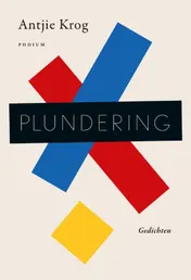 Omslag van Plundering
