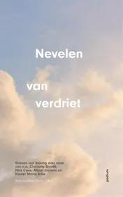 Omslag van Nevelen van verdriet